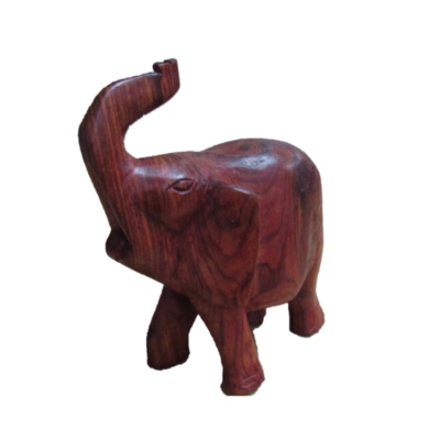 éléphant teck 17cm